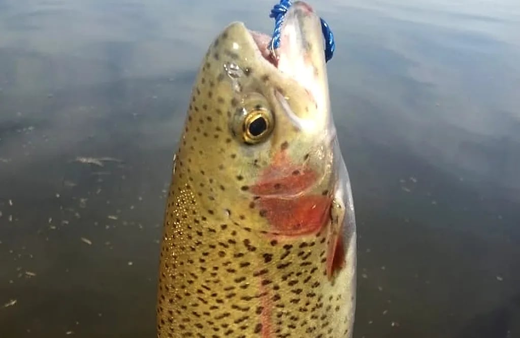 Prado Regional Park gallery 3