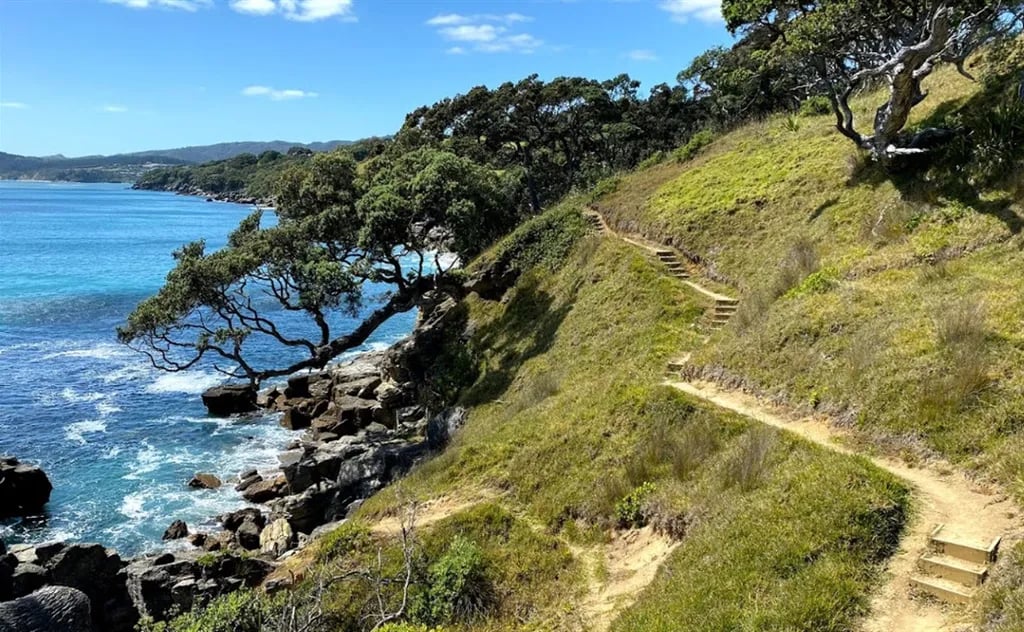 Camp Waipu Cove gallery 1