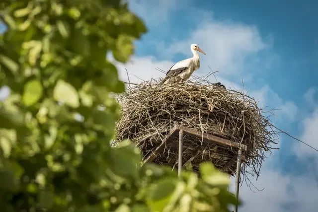 Campingplatz Stadt Nittenau