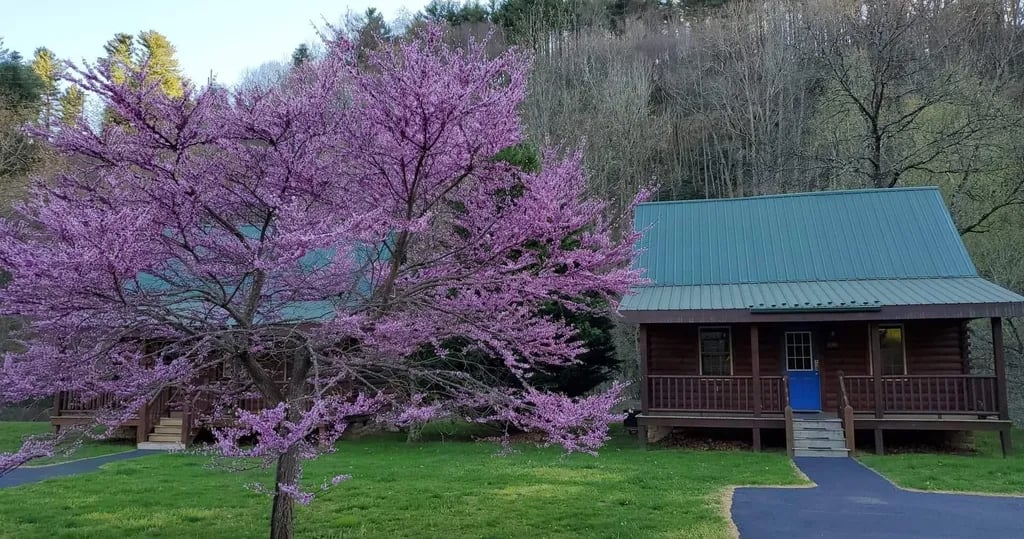 New River Trail Cabins gallery 2