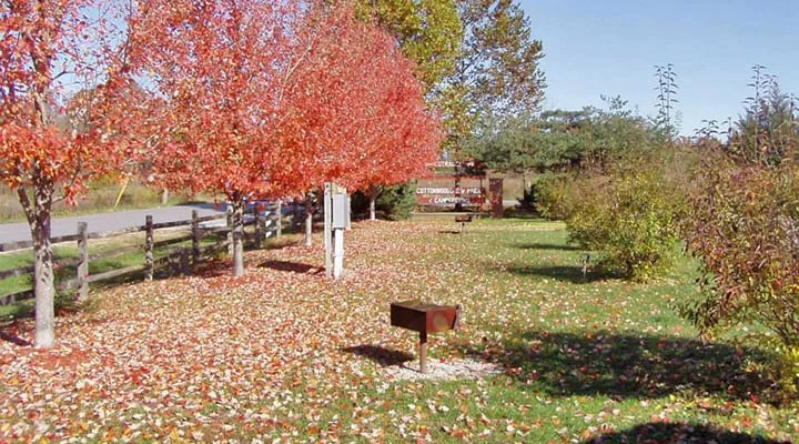 Cottonwoods RV Park & Campground gallery 3