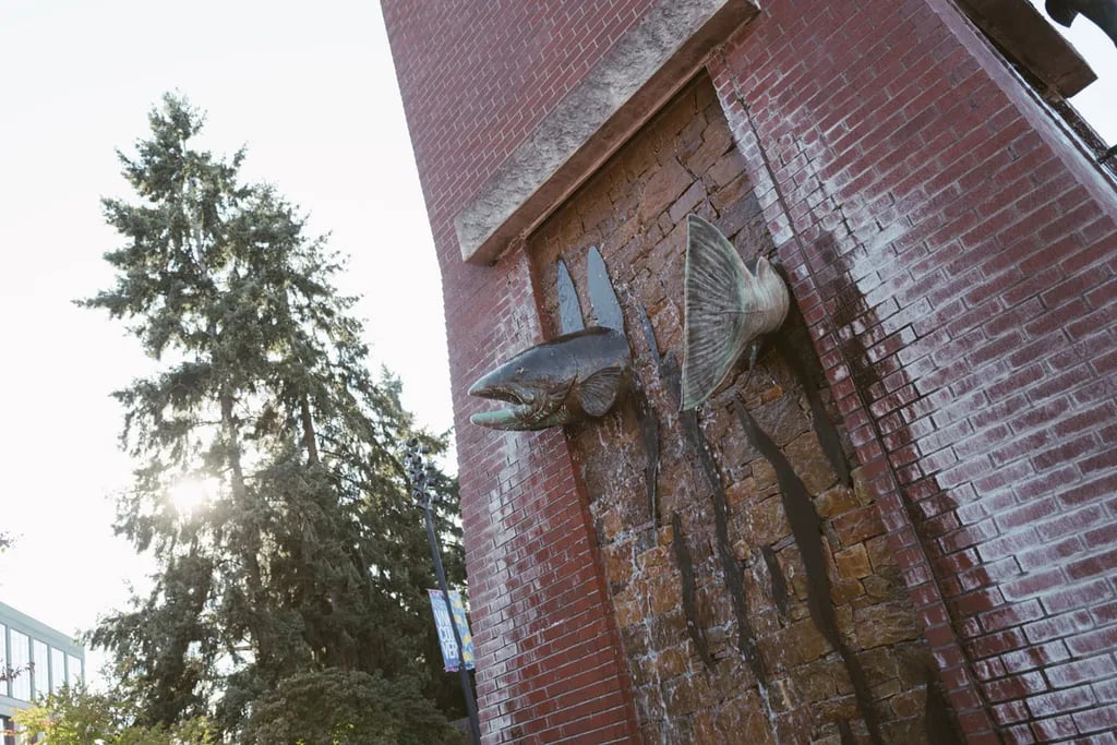 Vancouver RV Park gallery 2