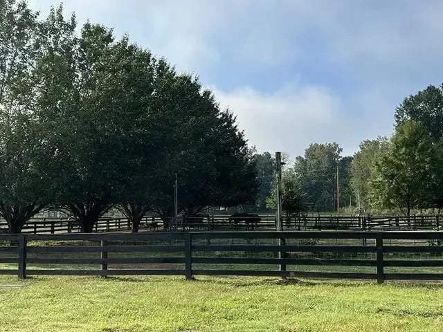 Ketners Mill Arena gallery 2