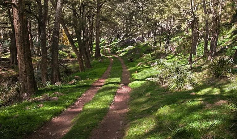 The Diggings campground gallery 1