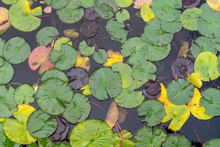 Camp Paxson gallery 1