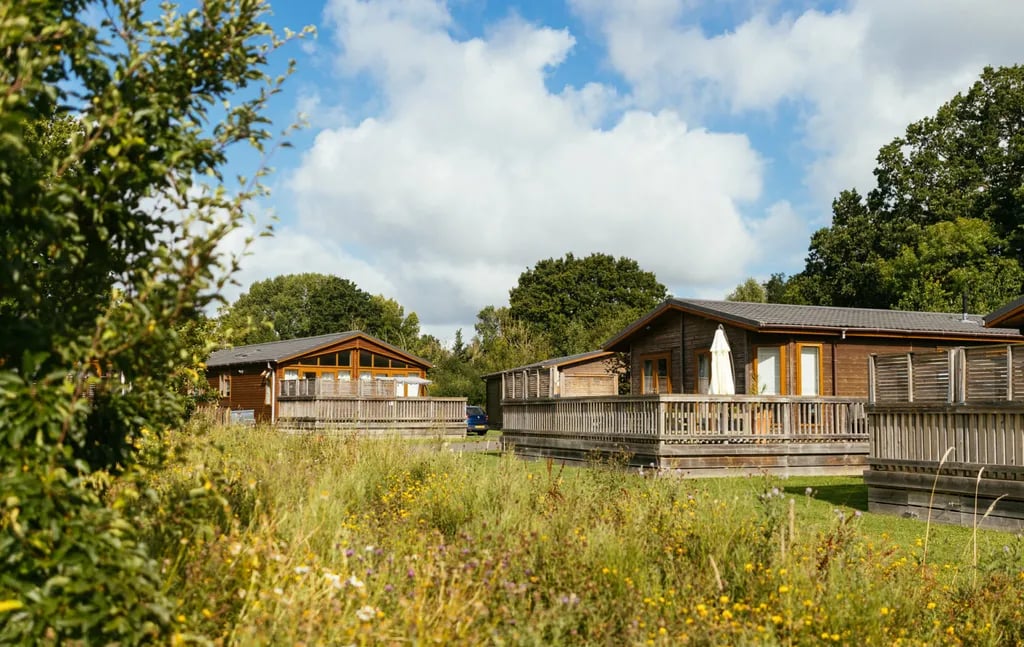 Brokerswood Holiday Park gallery 2