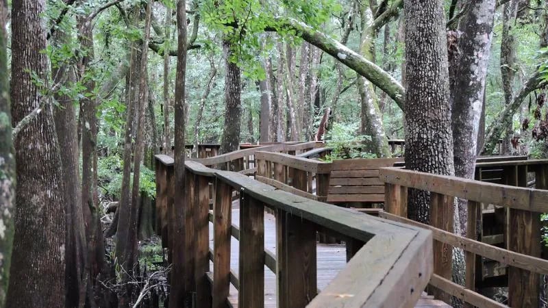 Manatee Springs State Park Campground gallery 2