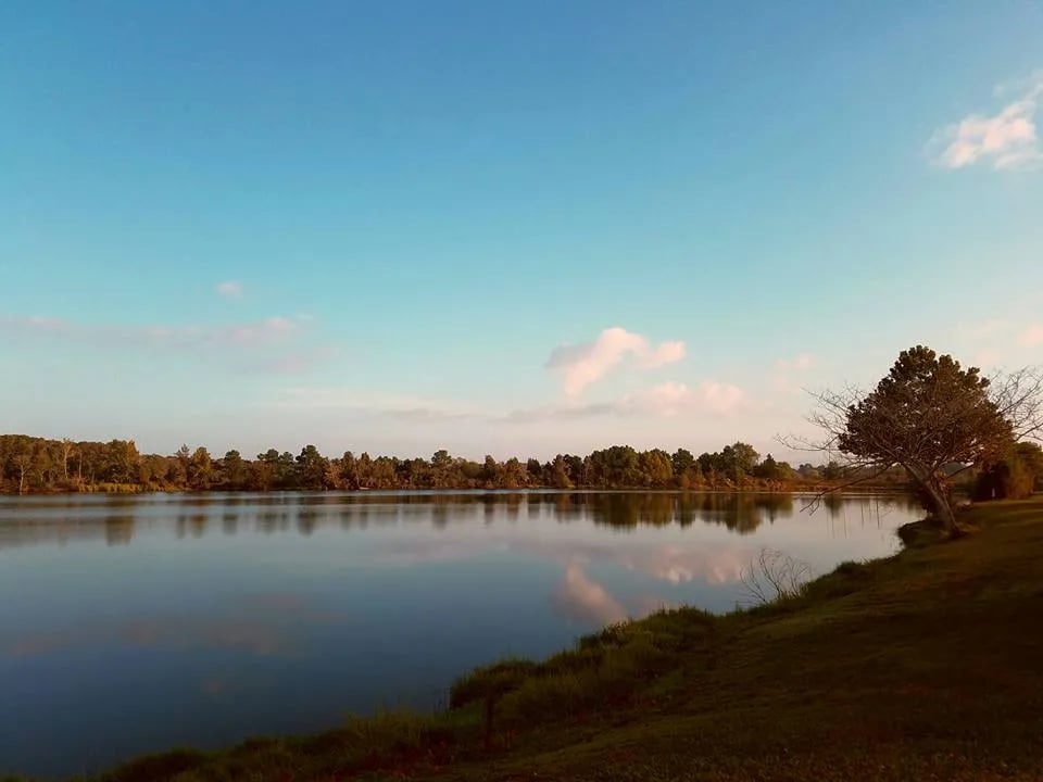 Boomtown USA RV Resort gallery 2