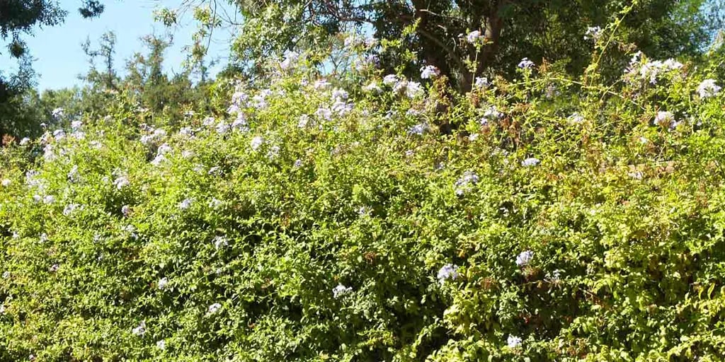 Camping Le Soleil gallery 3