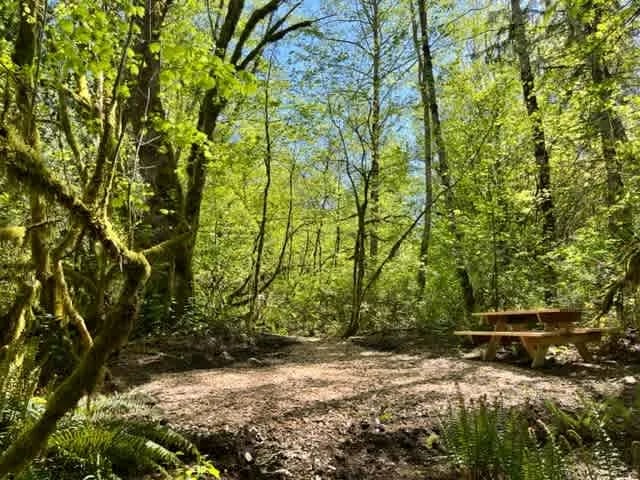 Cedar Groves Rural Campground gallery 2