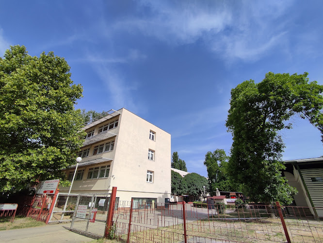 Camping and Youth Hostel