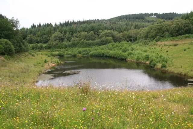 High Paradise Farm gallery 3