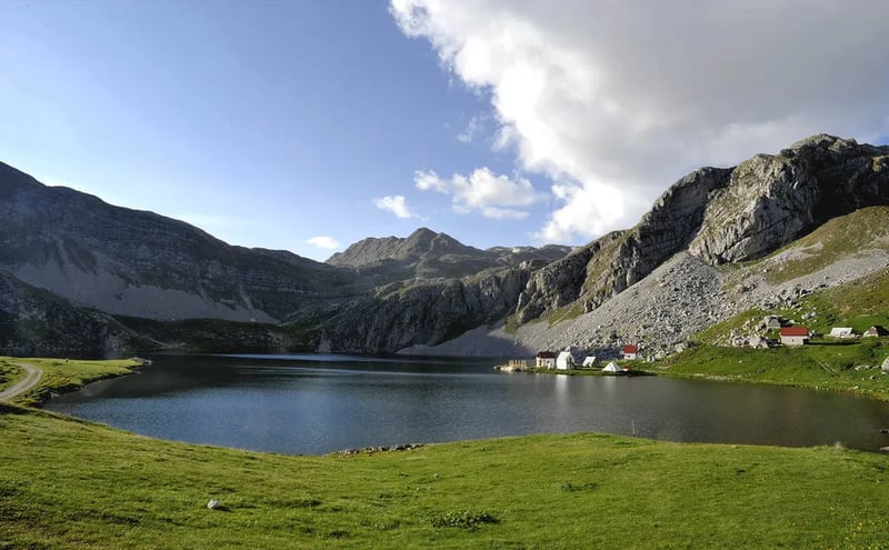 Auto camp Matica