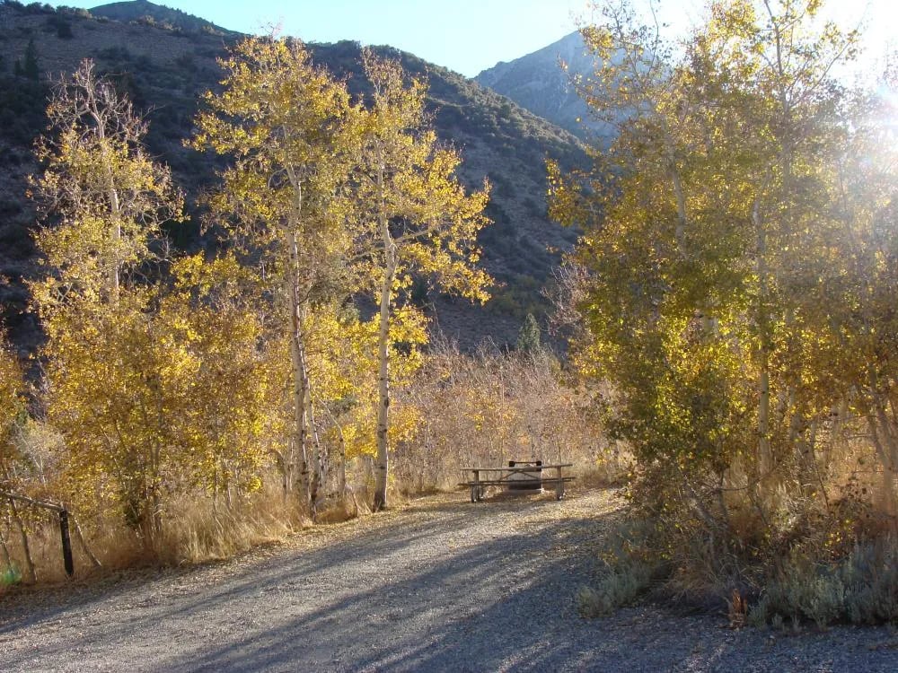 Lundy Lake Campground gallery 3