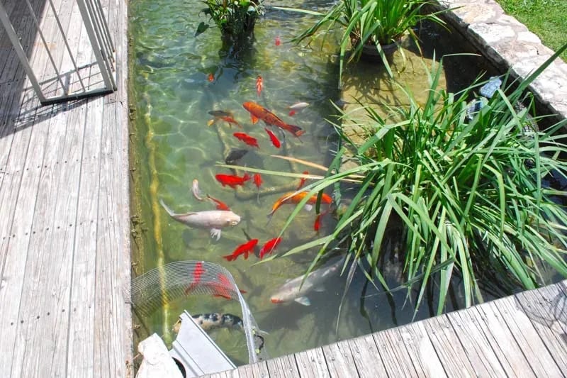 Fredericksburg RV Park gallery 2