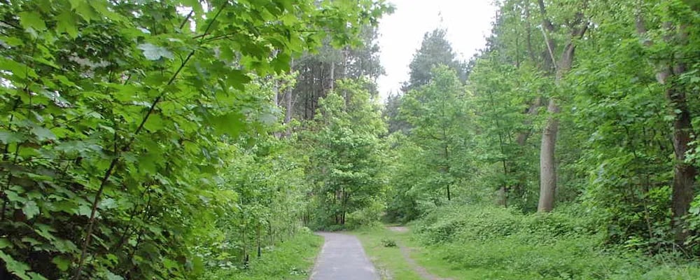 Camping Ter Duinen gallery 1