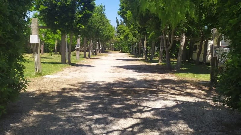 Oasy Park gallery 3