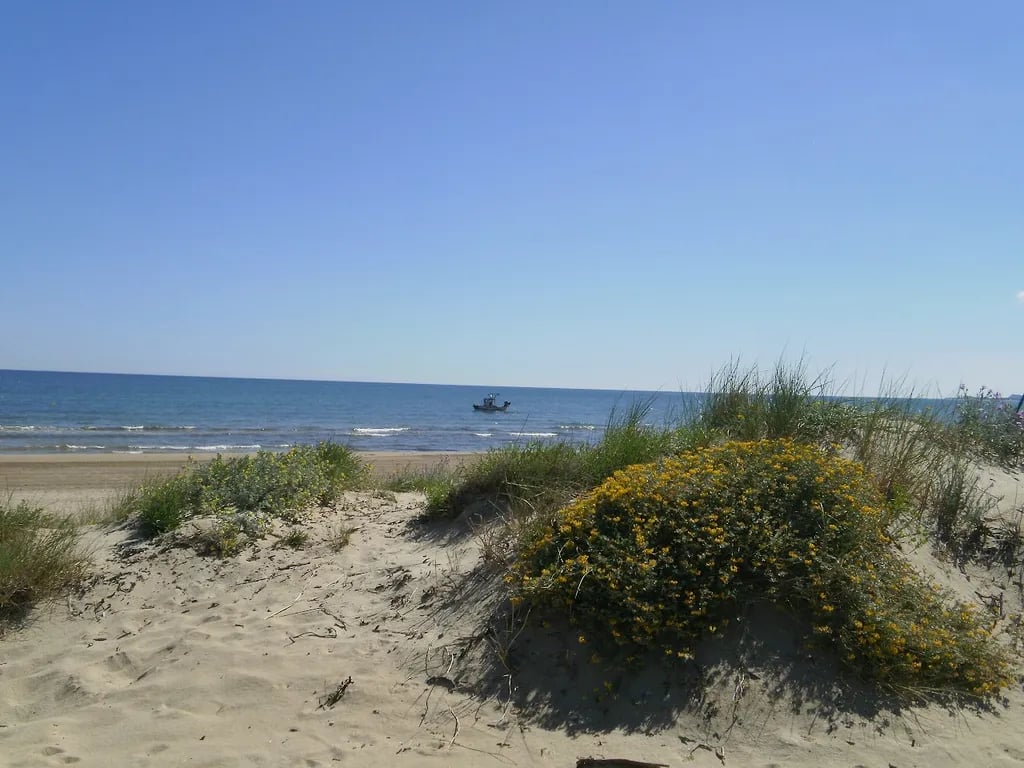 Camping Río Mar gallery 1