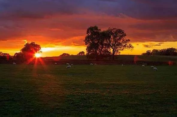 Stackstead Farm gallery 2