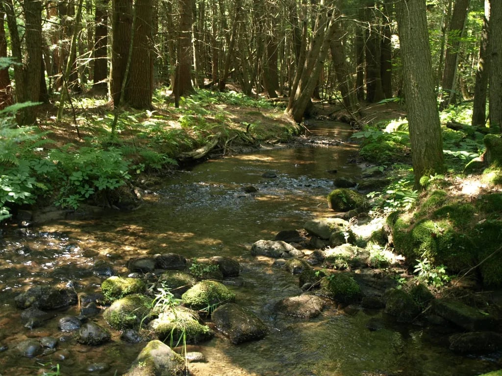 Whispering Pines Campsites gallery 3