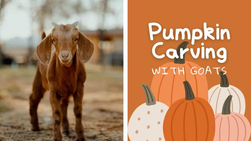 Outside Inn Campground gallery 1