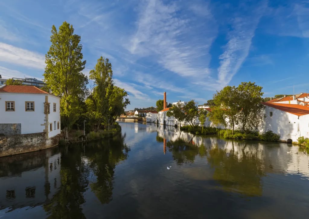 Parque de Campismo Quinta da Cerejeira gallery 1