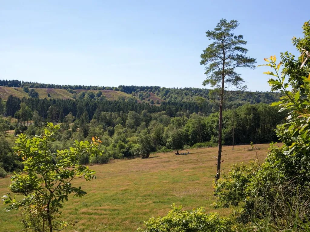 DCU-Camping Silkeborg – Hesselhus