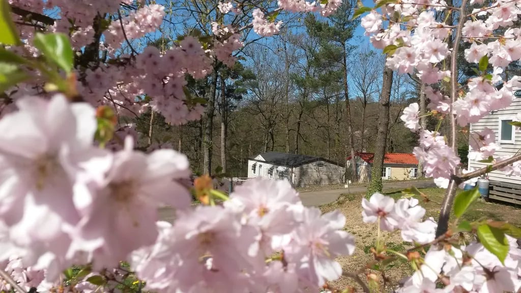 Camping d’Hurongues gallery 1