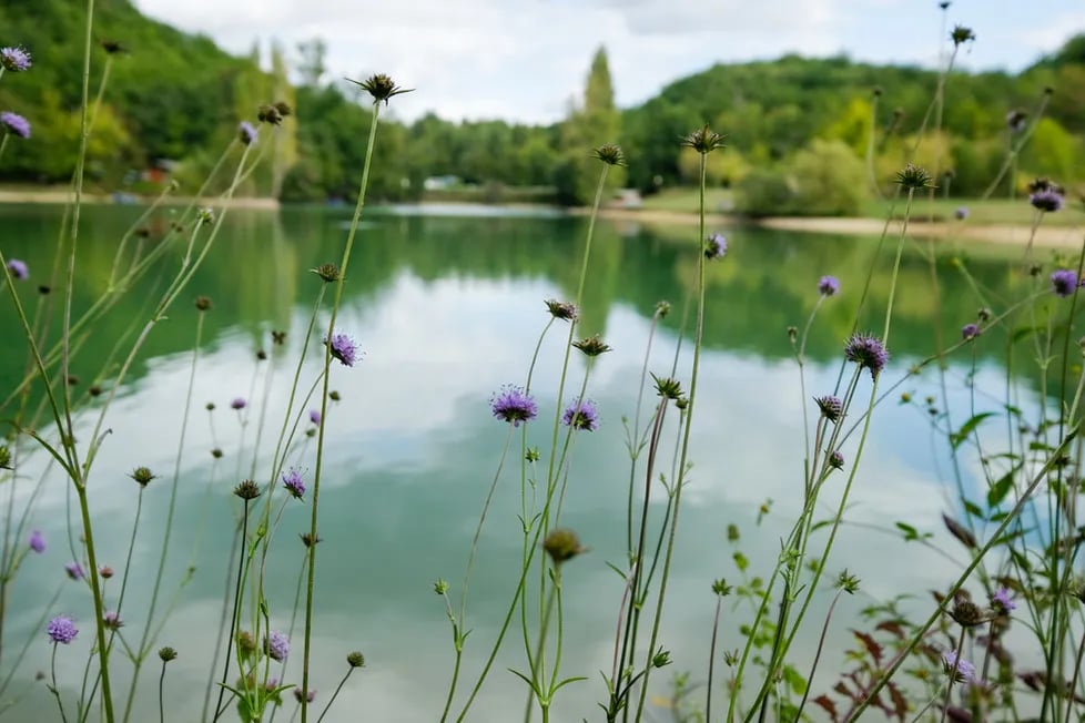 Camping Les 2 Lacs gallery 2