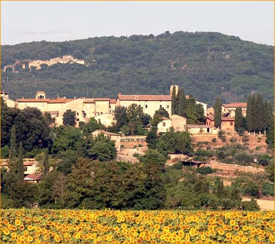 Campeggio La Montagnola