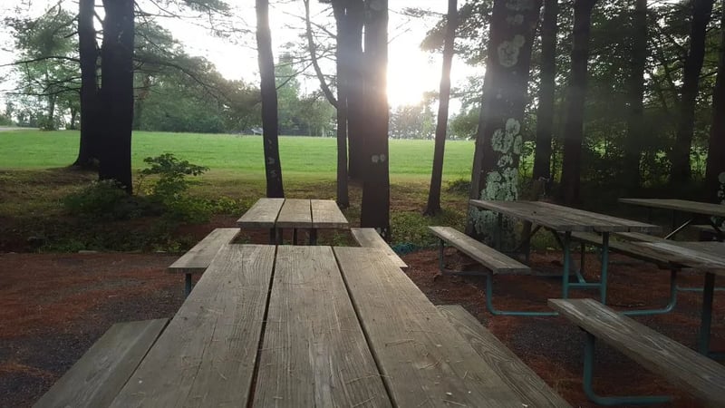 Dyer Woods Nudist Campgrounds gallery 3