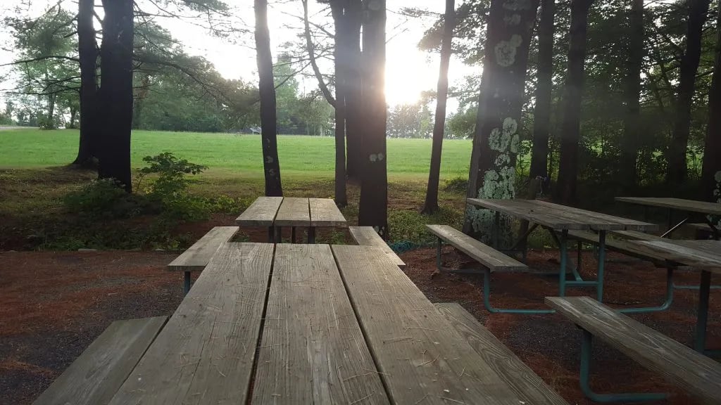 Dyer Woods Nudist Campgrounds gallery 3