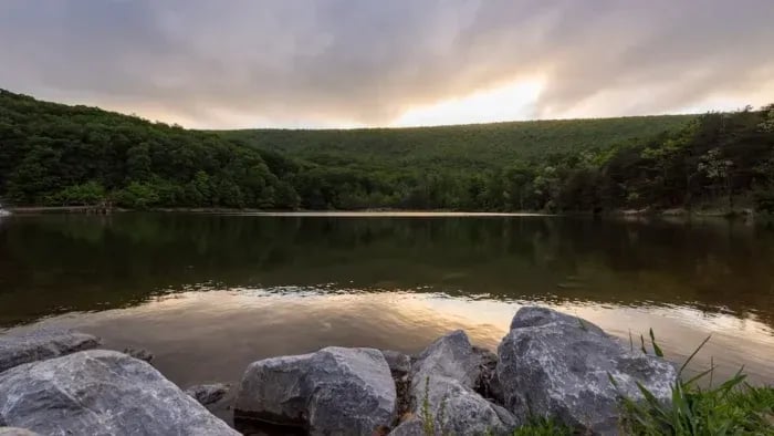 Rhododendron Camping Area gallery 3