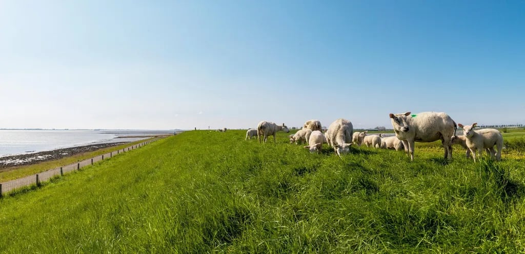 Buitenplaats Den Inkel gallery 3