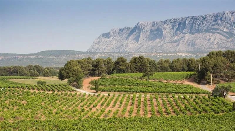 Camping Sainte Victoire - CamplinQ