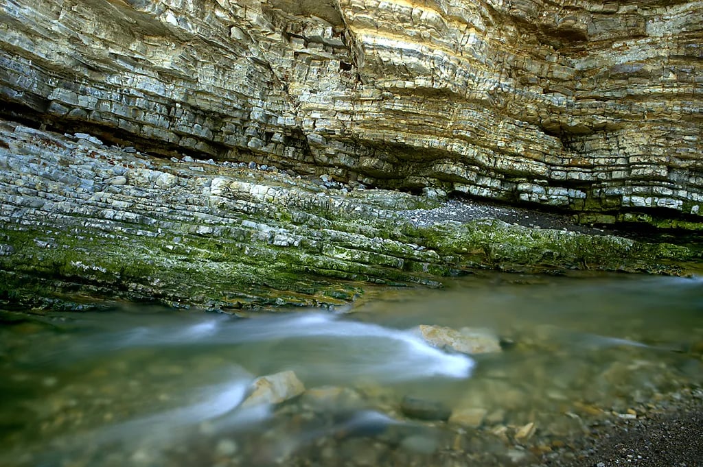 Islay Creek Campground — Montaña de Oro State Park gallery 3