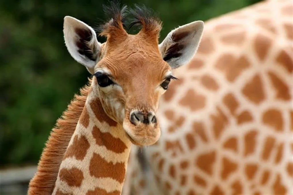 Domaine de l’Auzance gallery 1