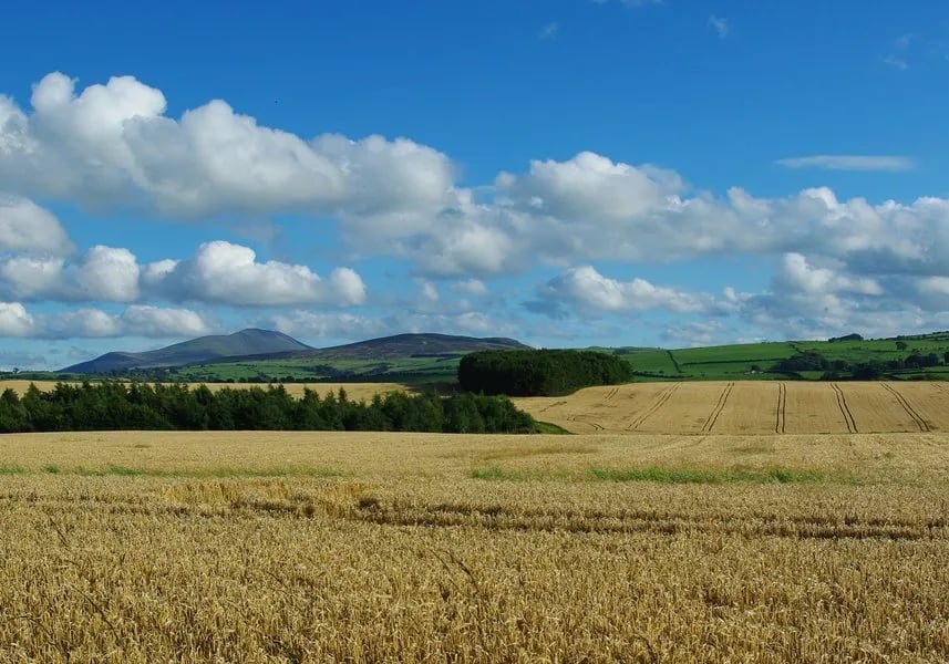 Larches Caravan Park gallery 2