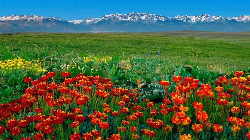 Scenic Meadows RV Park gallery 2