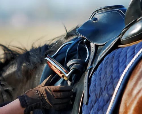 Young Riders School – Caravans Camping gallery 2