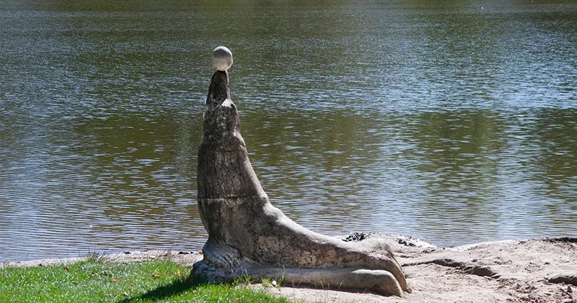 Campingpark Eisenach