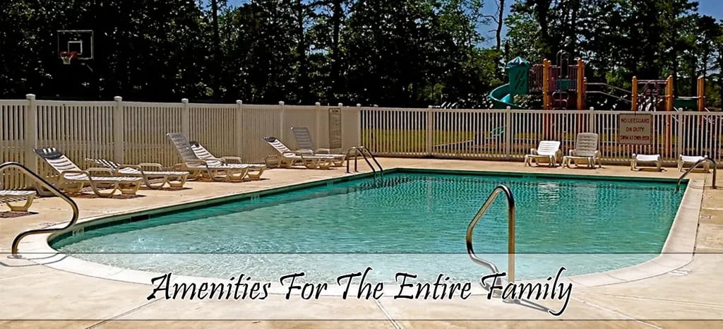 Driftwood Too gallery 3