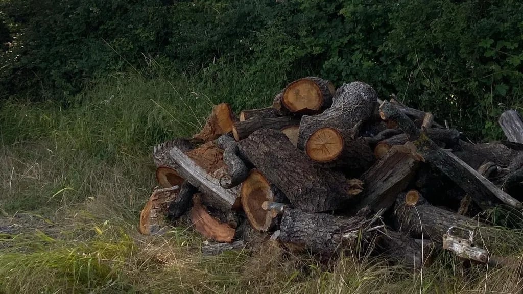 Wedmore Village Farm gallery 2