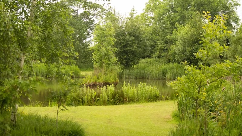 Canada Fields Caravan Park gallery 1