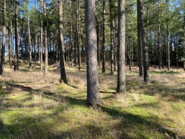 East Nomads gallery 1