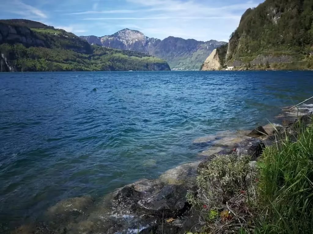 Camping Bucheli gallery 1