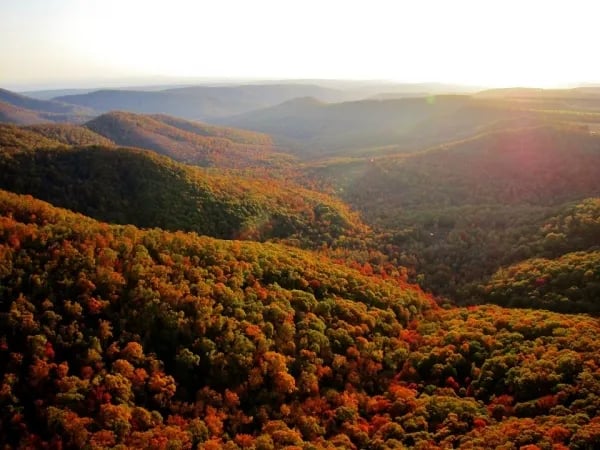 Byrd’s Adventure Center gallery 3