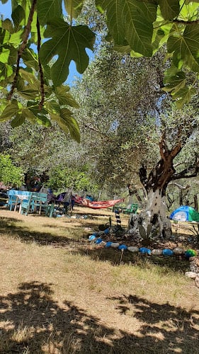Vuno Camping