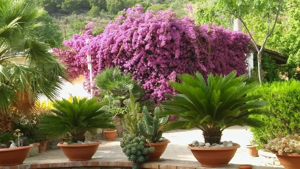 Camping Villaggio Sporting Soleado gallery 3