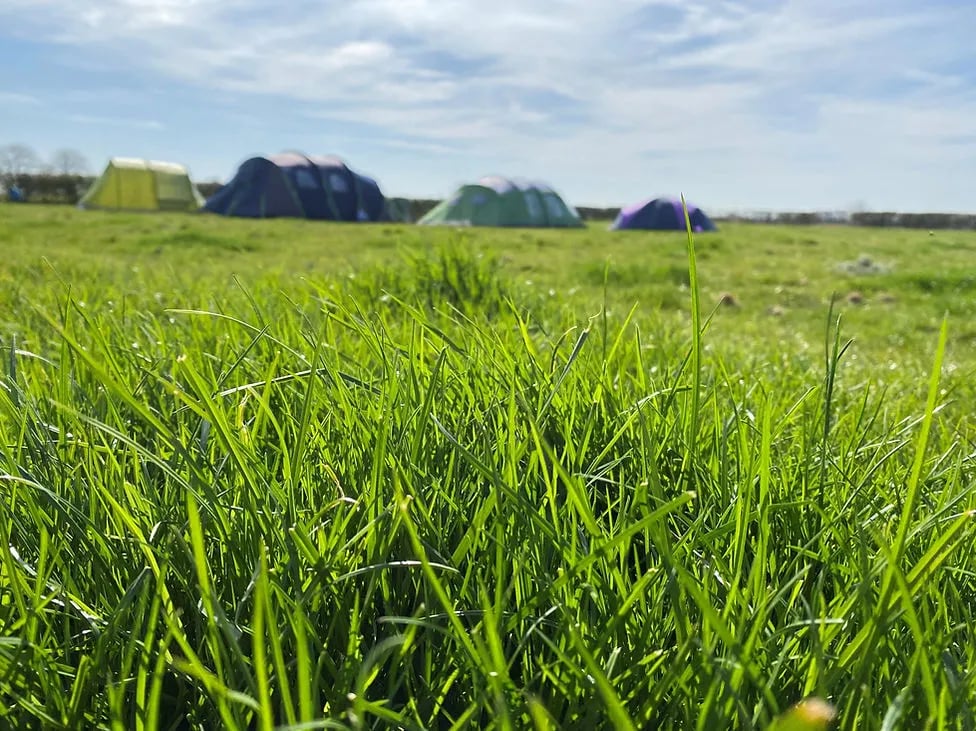 Creekside Family Camping